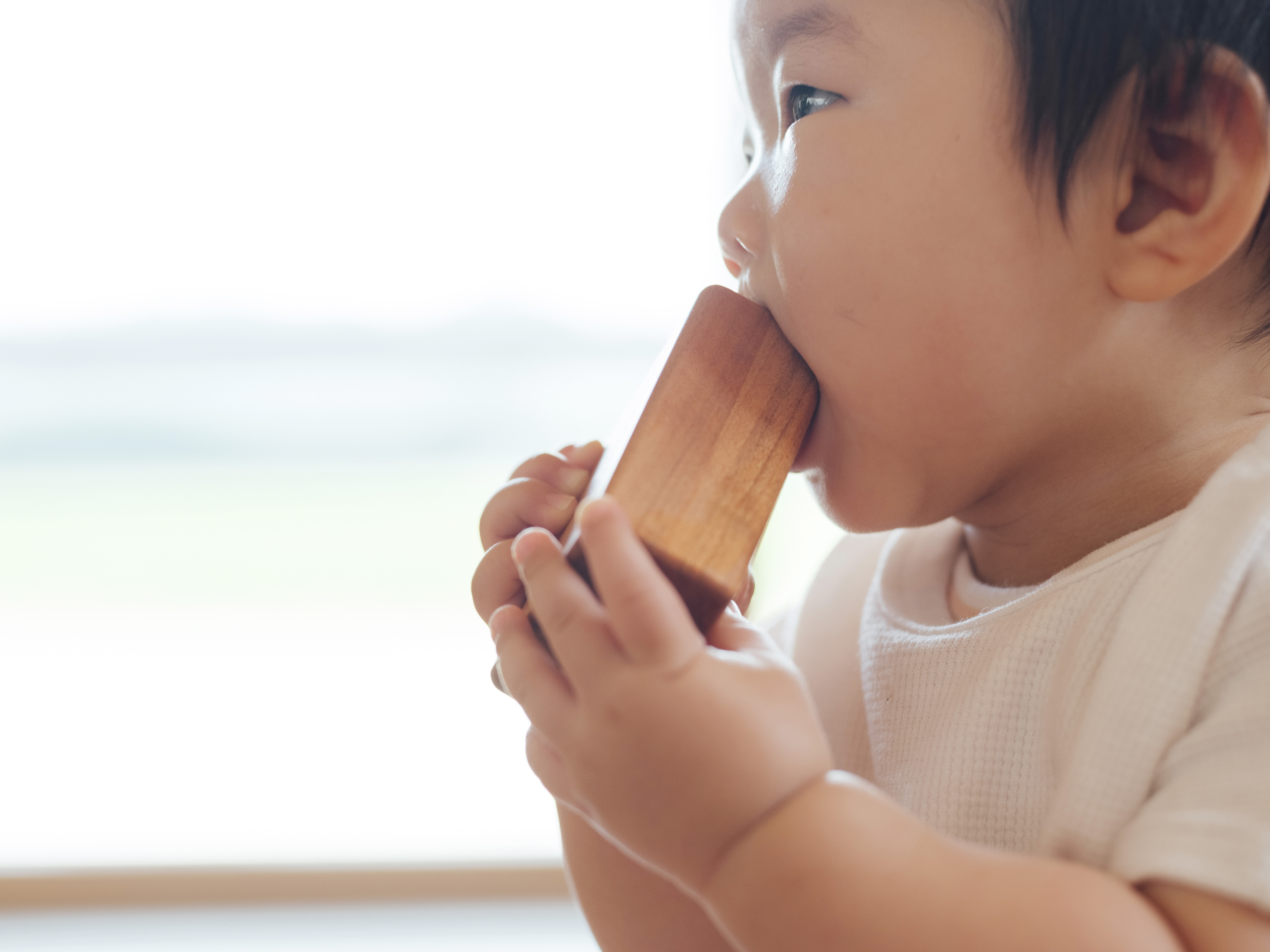 Woodtoy_HerediaKomiyama_067